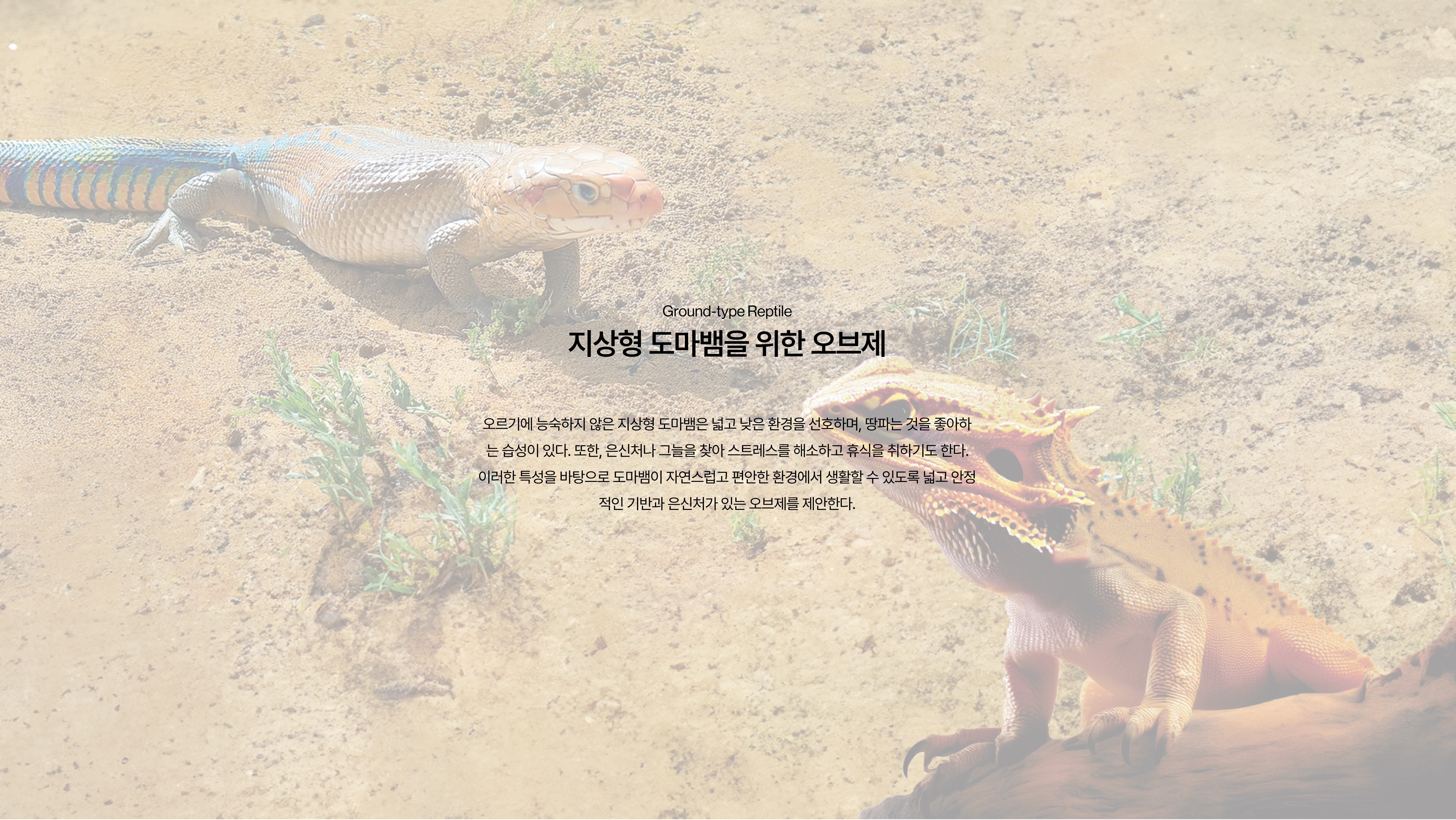 이미지1